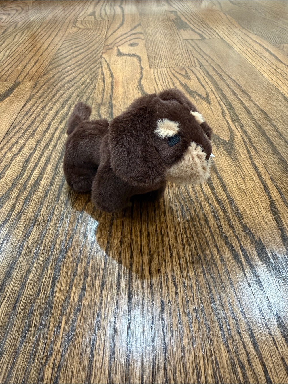 Jellycat Otto Sausage Dog Bag Charm keychain NWT - Picture 3 of 7